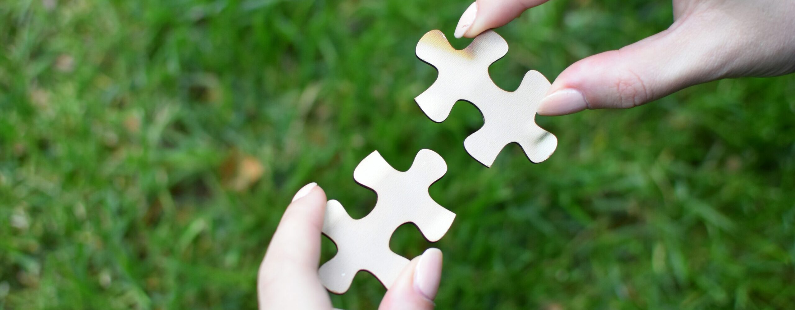 A pair of hands holds to jigsaw pieces slightly apart with blurred grass making up the background