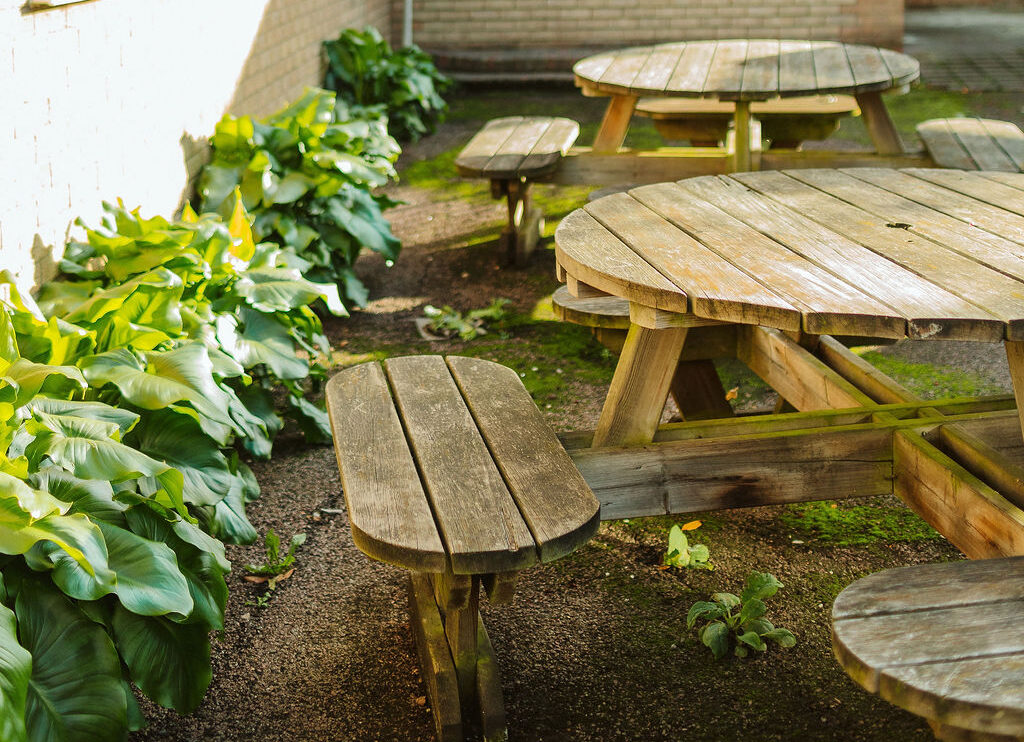 Hostas and garden tables in sunshine at Crossways