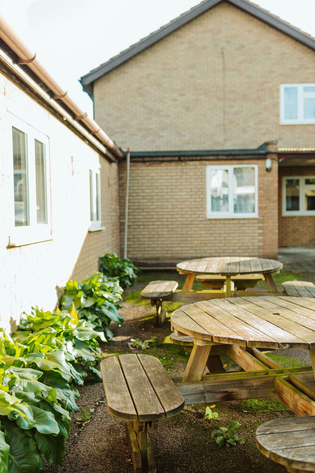 Hostas and garden tables in sunshine at Crossways