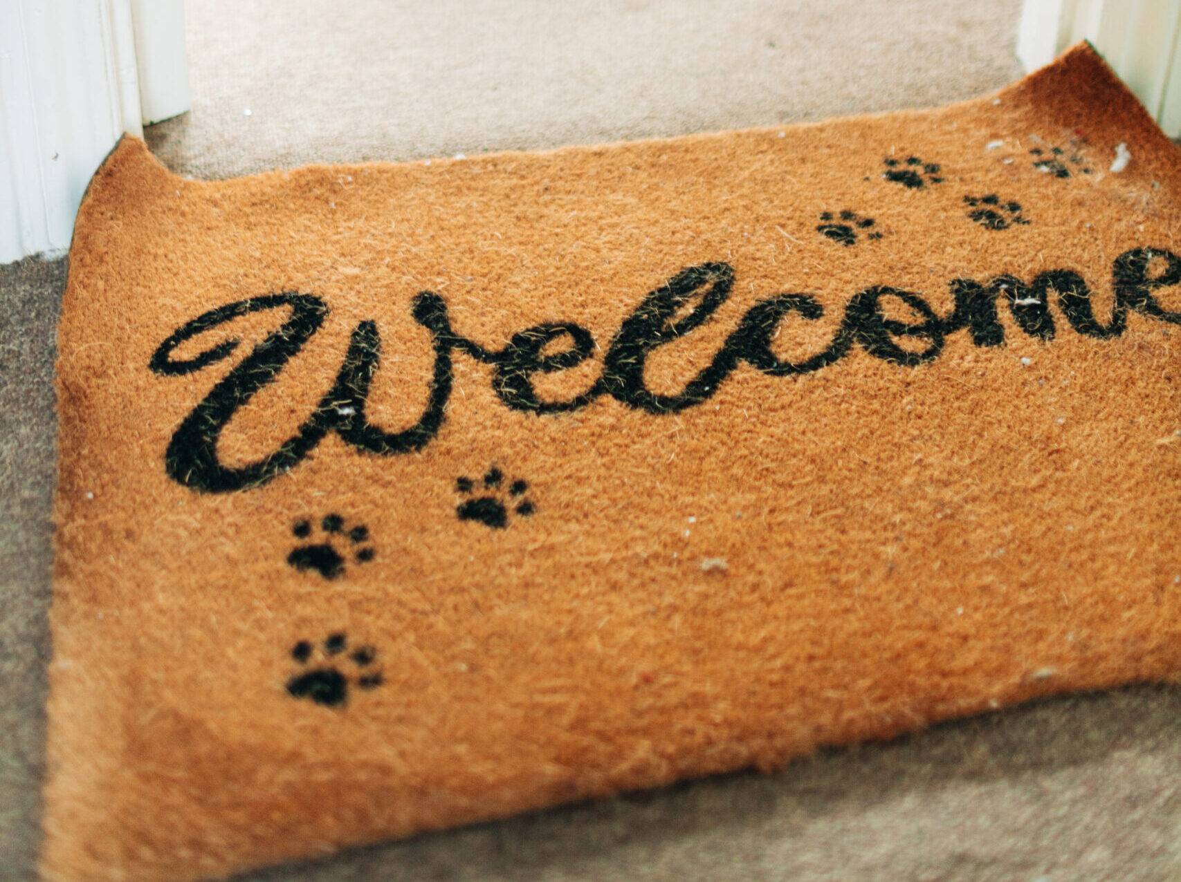 A welcome mat in the doorway of the lounge at the Haven