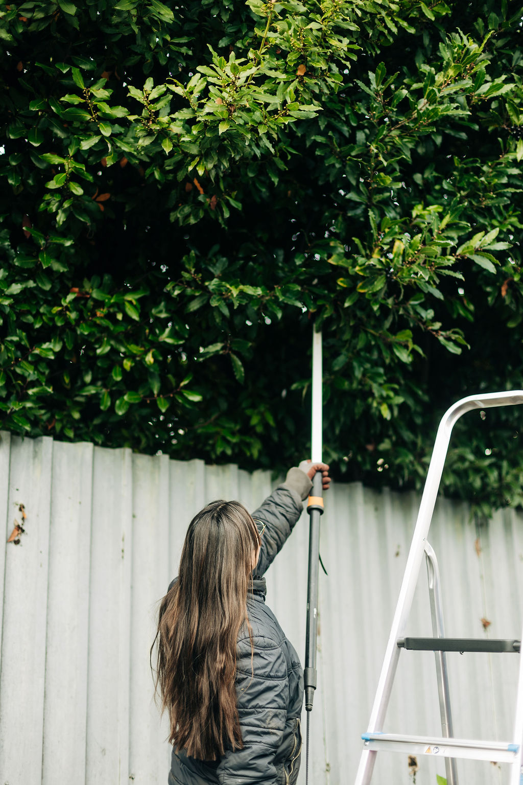 Suzie Nicholson trims large hedge in Crossways garden